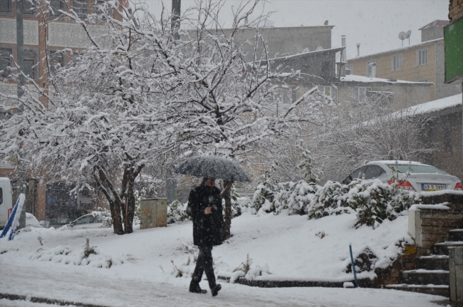 Fotoğraf: AA (Muş) 